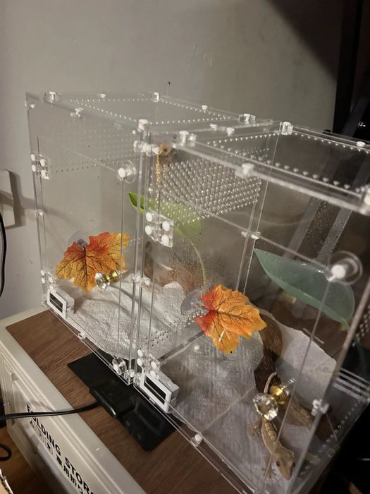 Акрилен терариум 15 х 15 х 25 см
