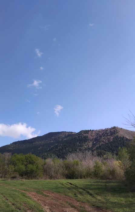 Продава имот в с.Бистрица общ.Дупница