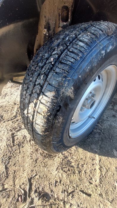 Kamchiligi yo‘q charimhoo yang balonlarda