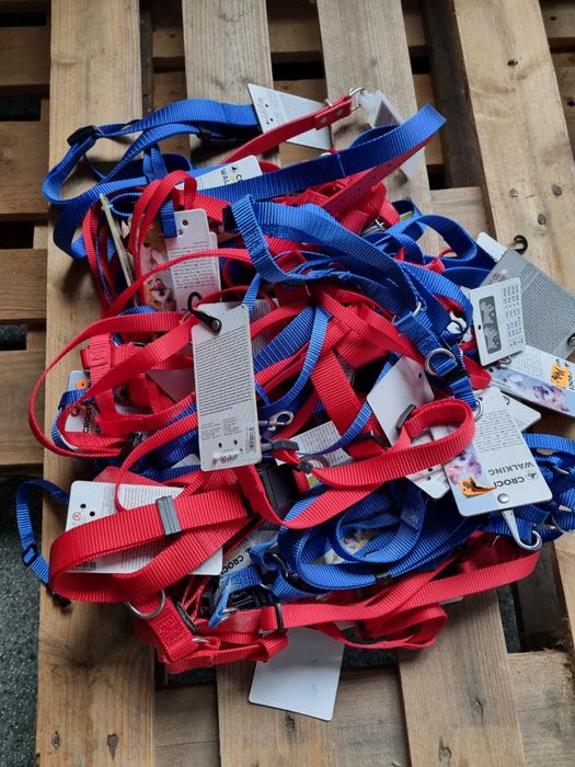 Hamuri si curele catei