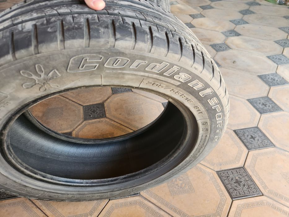 Cordiant            .