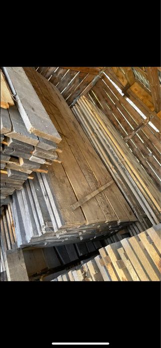 cherestea tivita/netivita