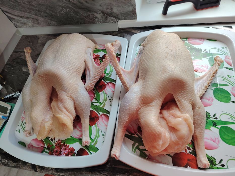 Гуси тушками продам