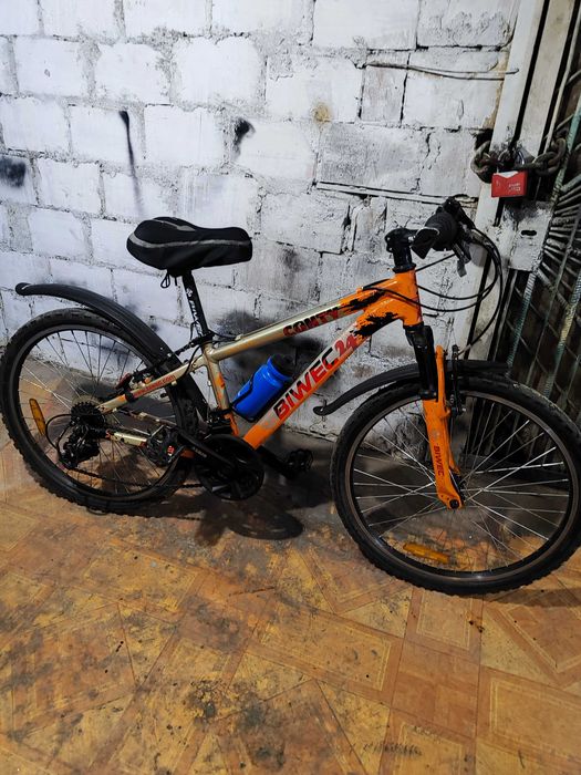 Велосипед Biwec на 24 колесах