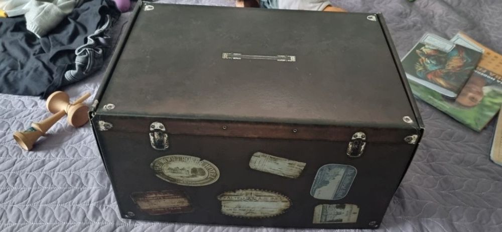 Resident evil village collector edition