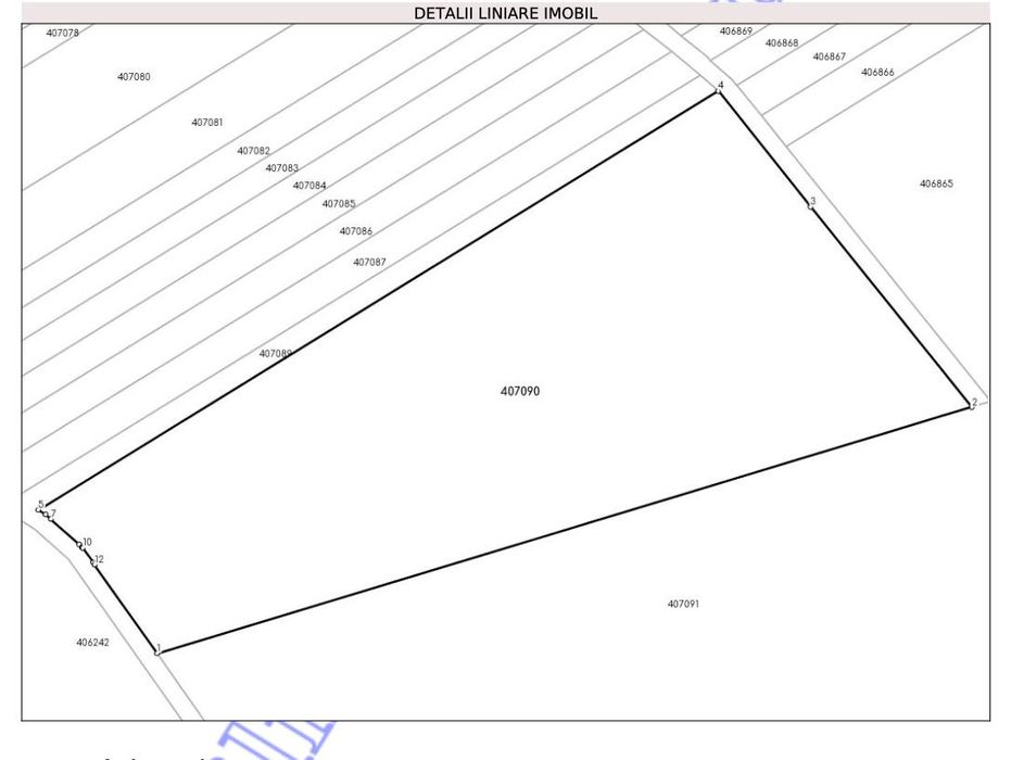 Teren 11.600 mp Fibiș  4 km de Primărie