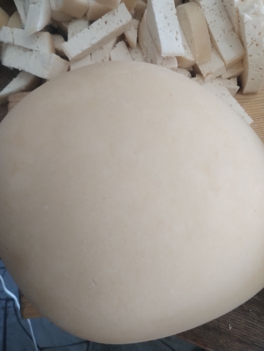 Vând caș și brânză frământată