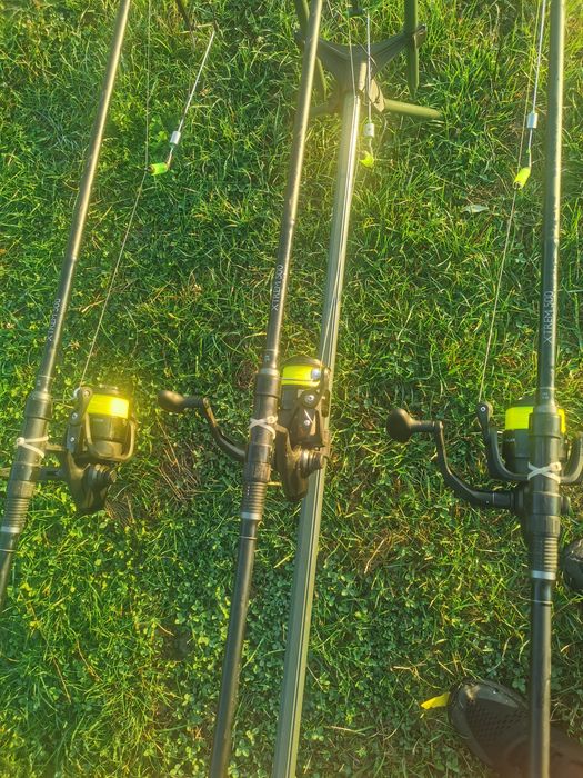 Lansete extrem 500 carp