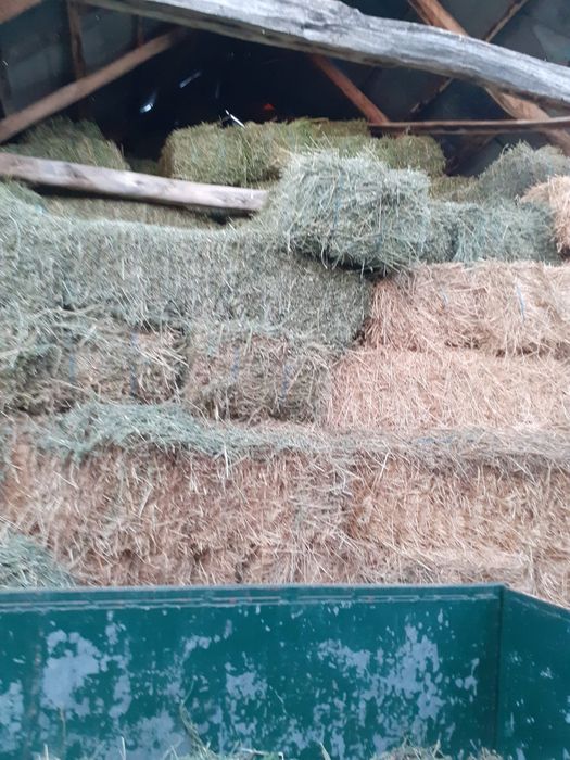 Vand baloți lucernă