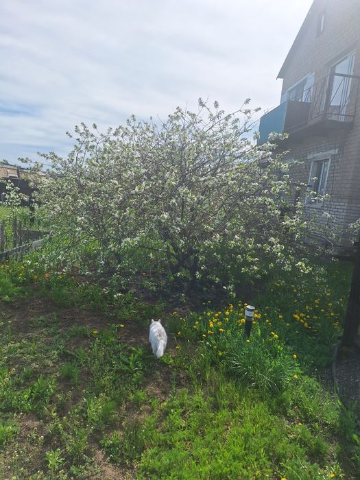 Продаём коттедж г.Сарань