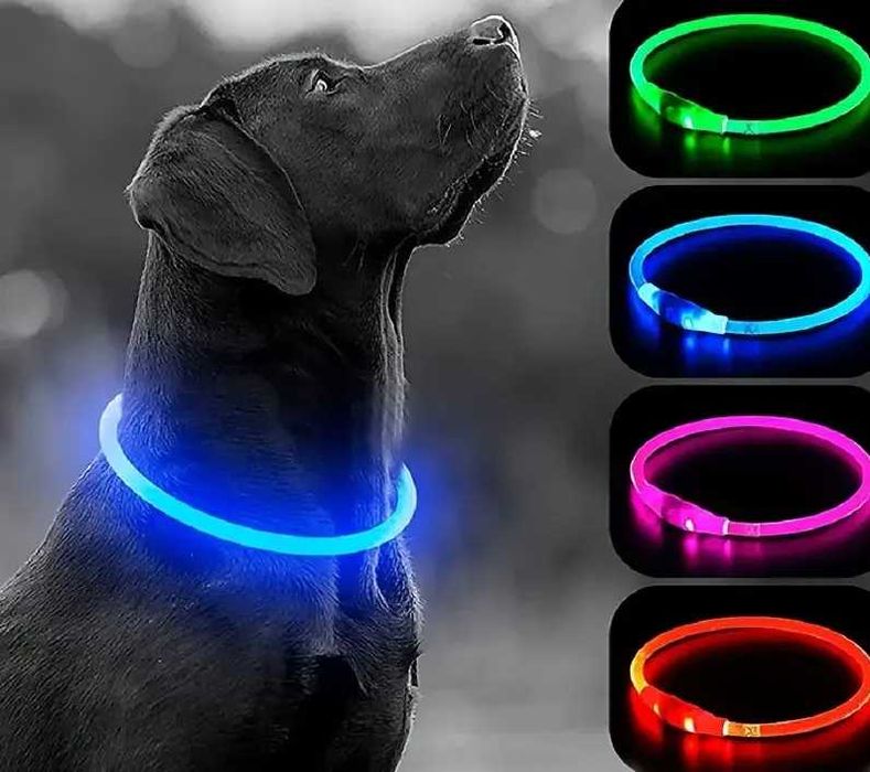 Електронен  Светещ LED нашийник - каишка за кучета с USB зареждане 3 размера и различни цветове