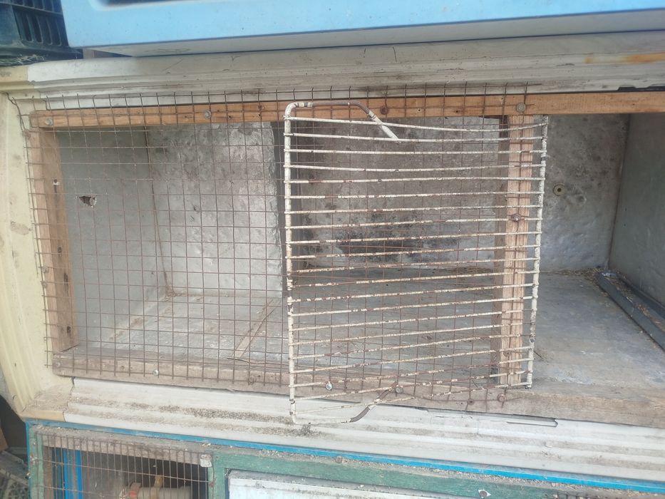 Продам Брудера для цыплят