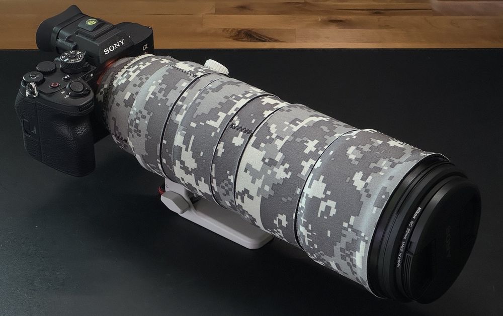 Sony 200-600 G в идеале