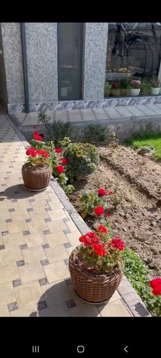 Gullar uchun tuvaklar