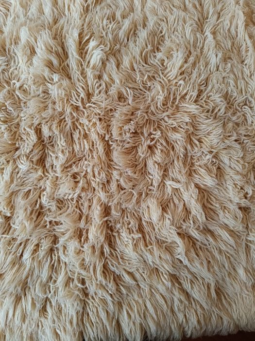 Нов вълнен бял китеник