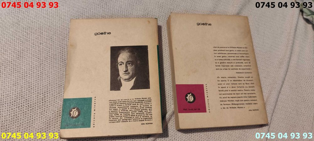 carte carti goethe anii de ucenicie ai lui wilhelm meister 2 volume