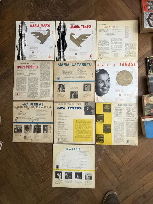 Anticariat si viniluri