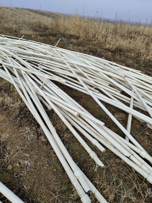 Shlanka 50 li yahshi