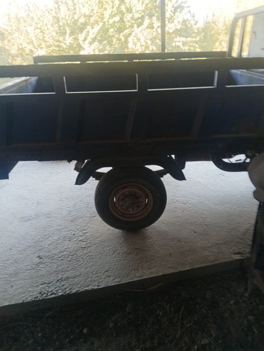 Муравей сотилади