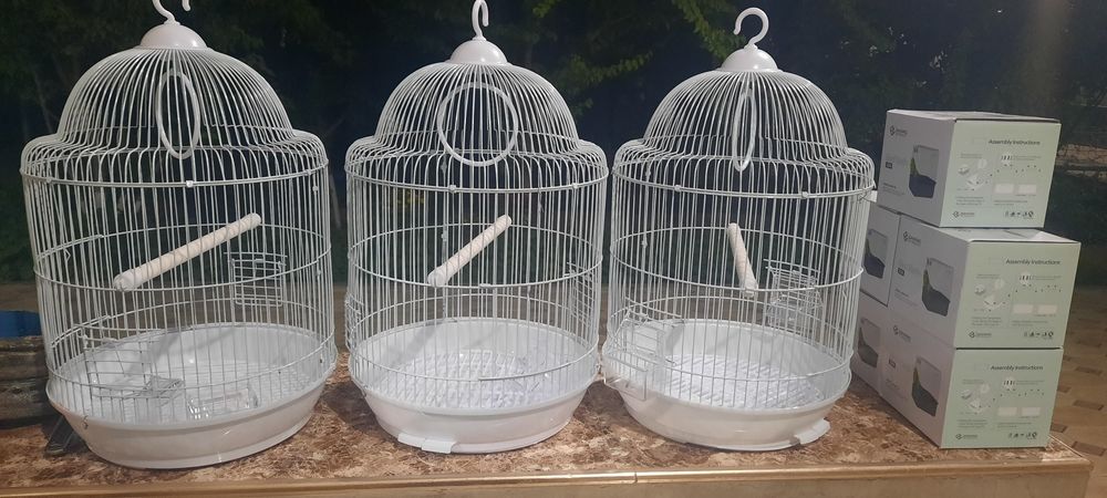 Канарейка 15.000тг