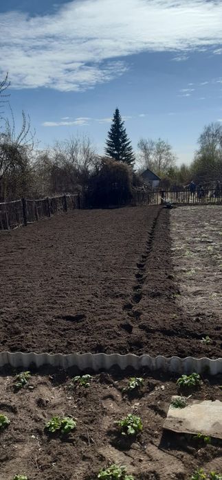Вспашка дачь мотокультеватор.