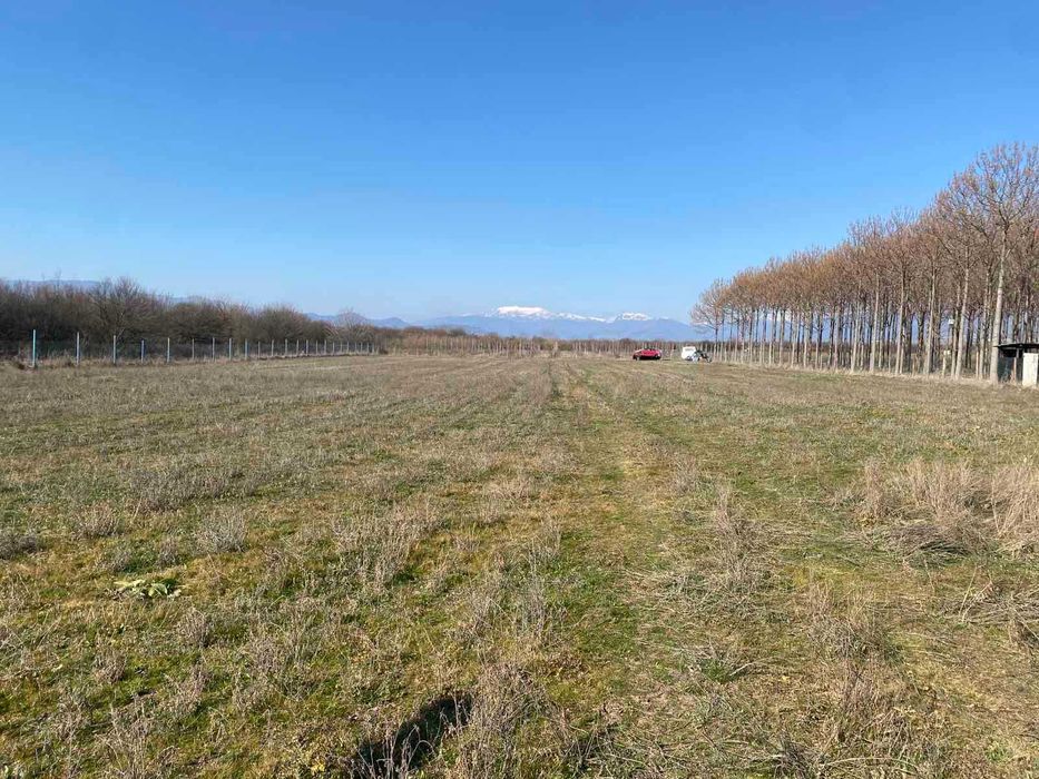 Продава се Парцел в с. Дъбене, Област Пловдив - 6000 кв.м за 6 €/кв.м - Снимка #3