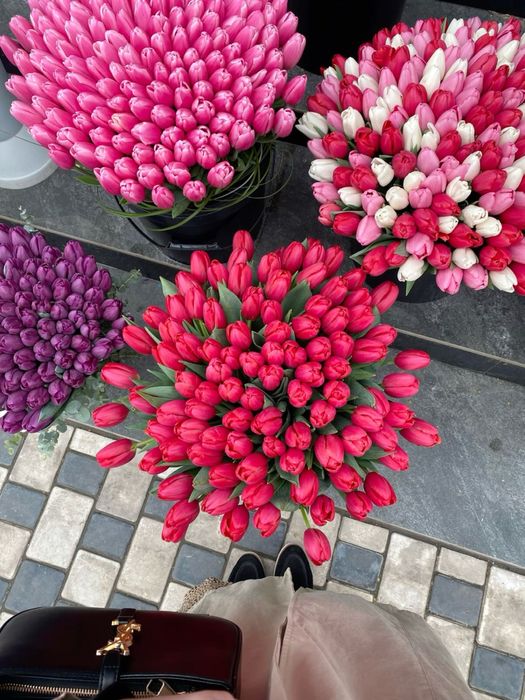 Большие тюльпаны | Астана