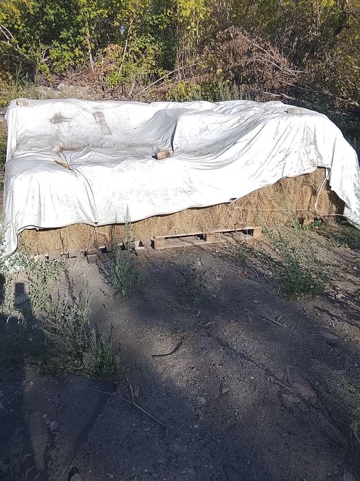 Срочно дёшево продам