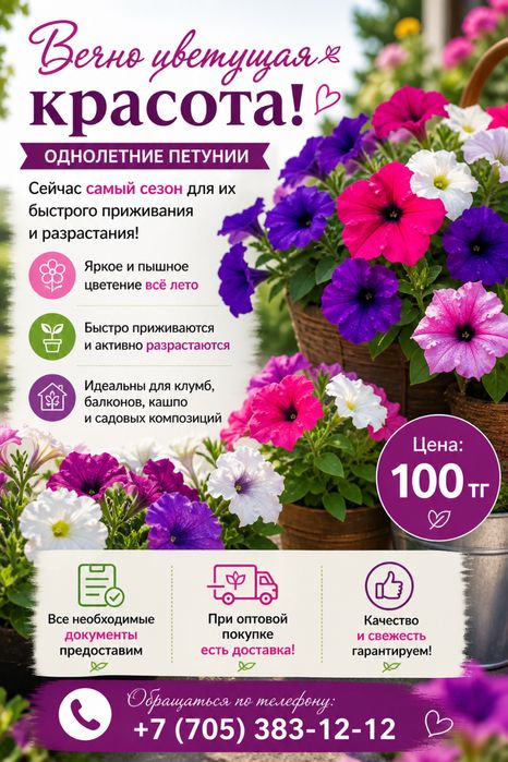 Однолетние цветы Петунии