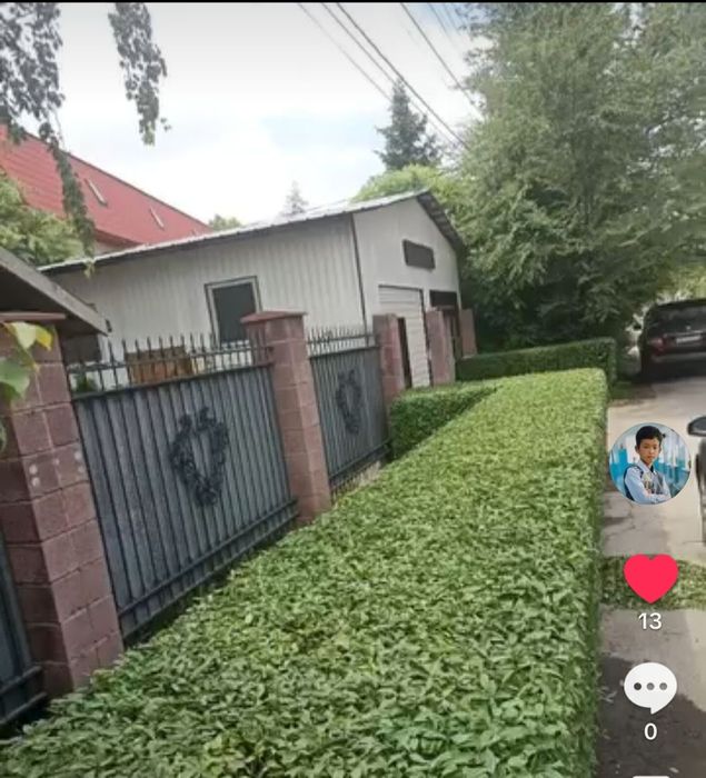 саженцы сатылады