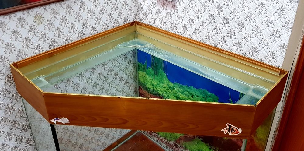 Аквариум для рыбок