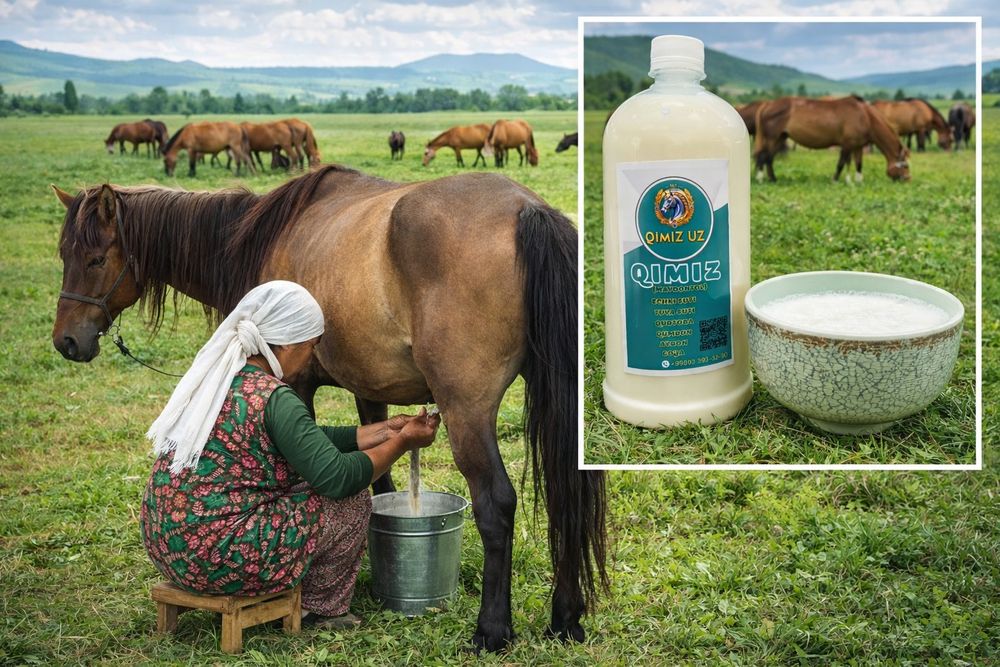 QIMIZ maydontol Кимиз