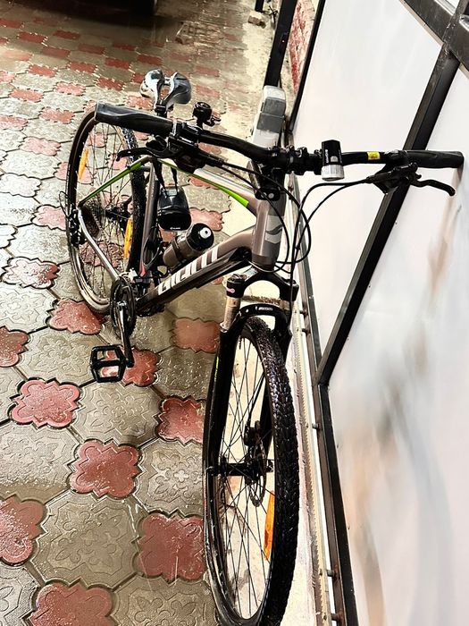 Giant roam L1.   .
