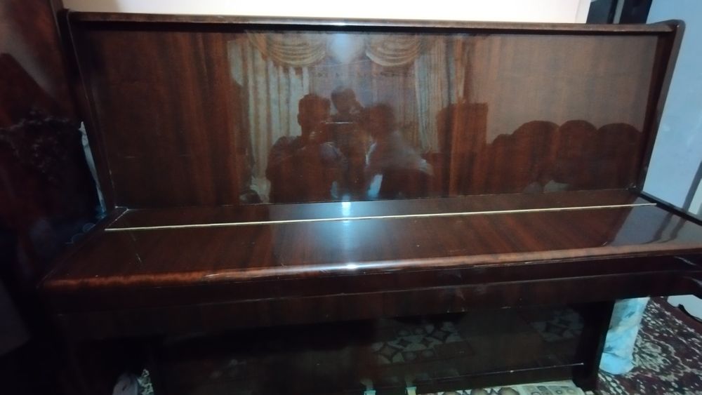 Пианино Ласточка