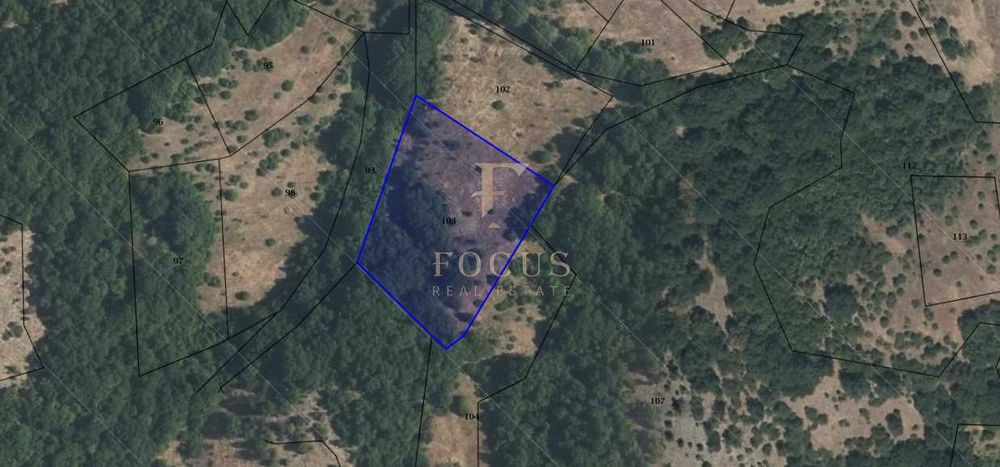 Продава се Парцел в с. Гълъбово, Област Пловдив - 3677 кв.м за 13 €/кв.м - Снимка #1