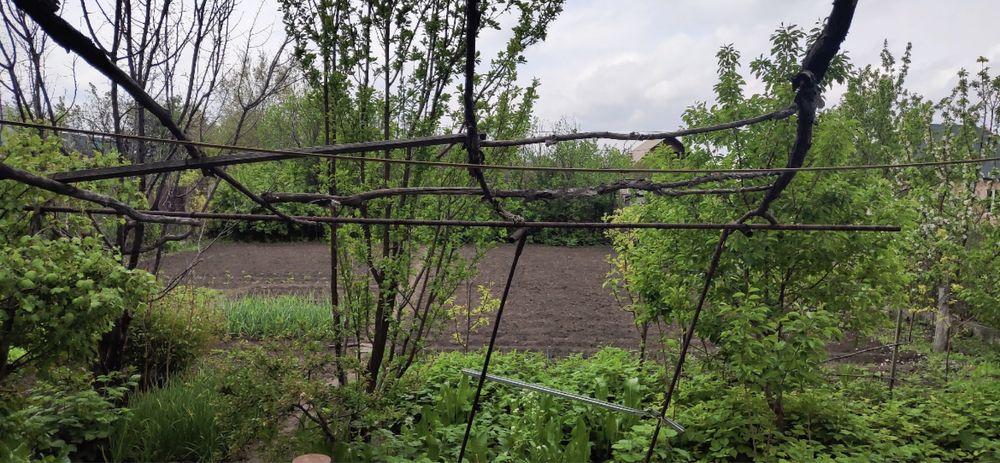 Продам дачу на шайкоргане