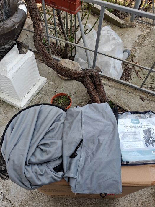 Детска Количка Chipolino Elite 3в1 2025