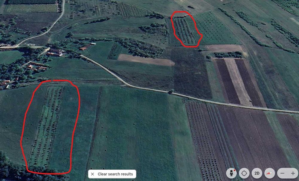 Livadă nuci matură, plantație intensivă, irigație + fântână, Sălaj