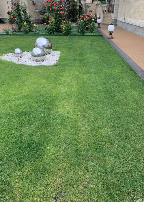 Газон Автополив рулонный посевной