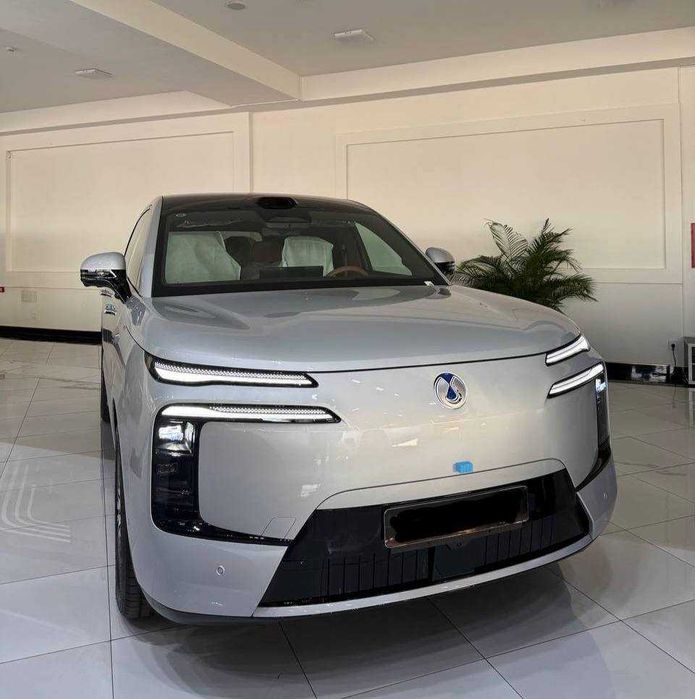 DENZA N8L FLAGSHIP sotuvga tayyor