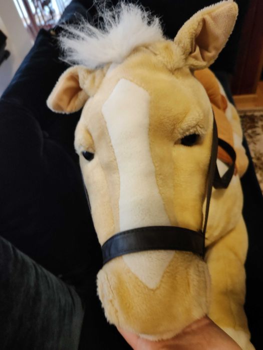 Cal urias din plus calitativ - 110 cm (1000-1200 lei la magazine) Oferta de Pasti!