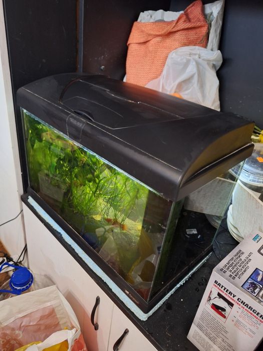 Аквариум ferplast capri 50