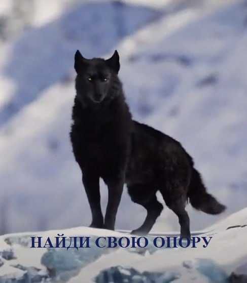 Здоровье навсегда. Душевное равновесие. Психолог- Гипнолог в Ташкенте