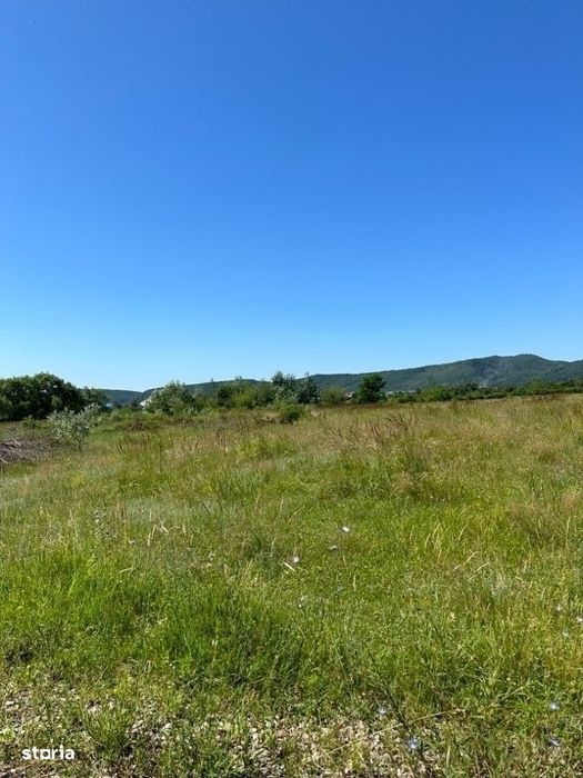 BANESTI - teren 2500 mp  parcelabil - 35 Euro/mp
