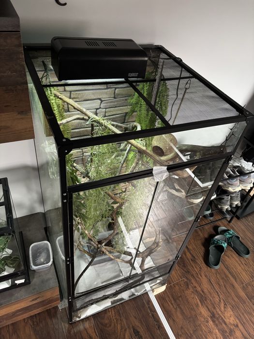 Vand terrariu de dimensiuni 60.5x60.5x123