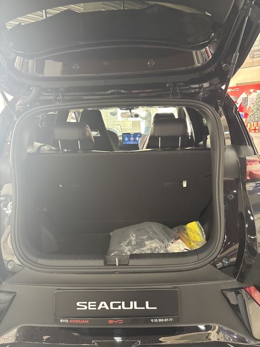 BYD SEAGULL EV 405Km flying