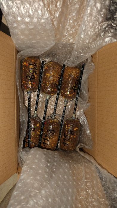 Bag-uri pescuit la Crap