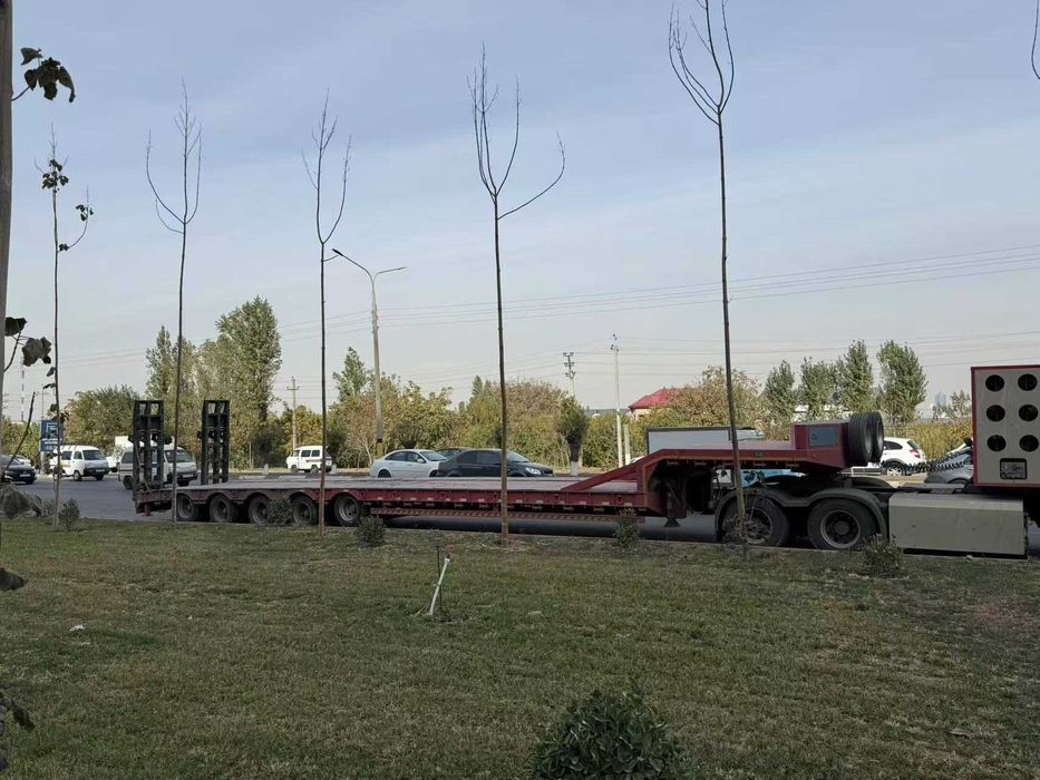 trall/traile/treller