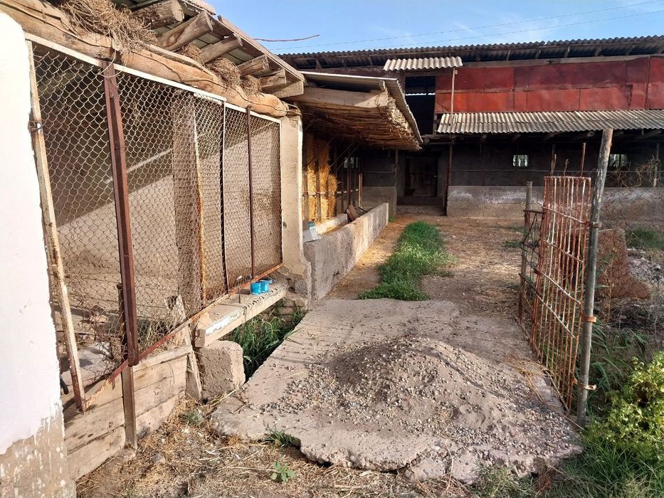 Продаю дом в хорошем состаянии газ свет вода есть без проблем