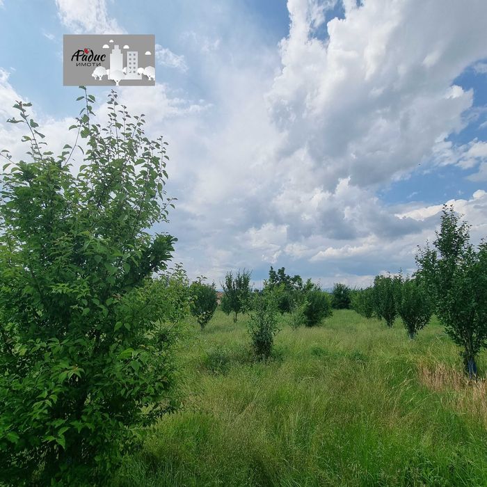 Продава се Земеделски имот в с. Ковач, Област Стара Загора -  кв.м за 2484 €/дка - Снимка #3